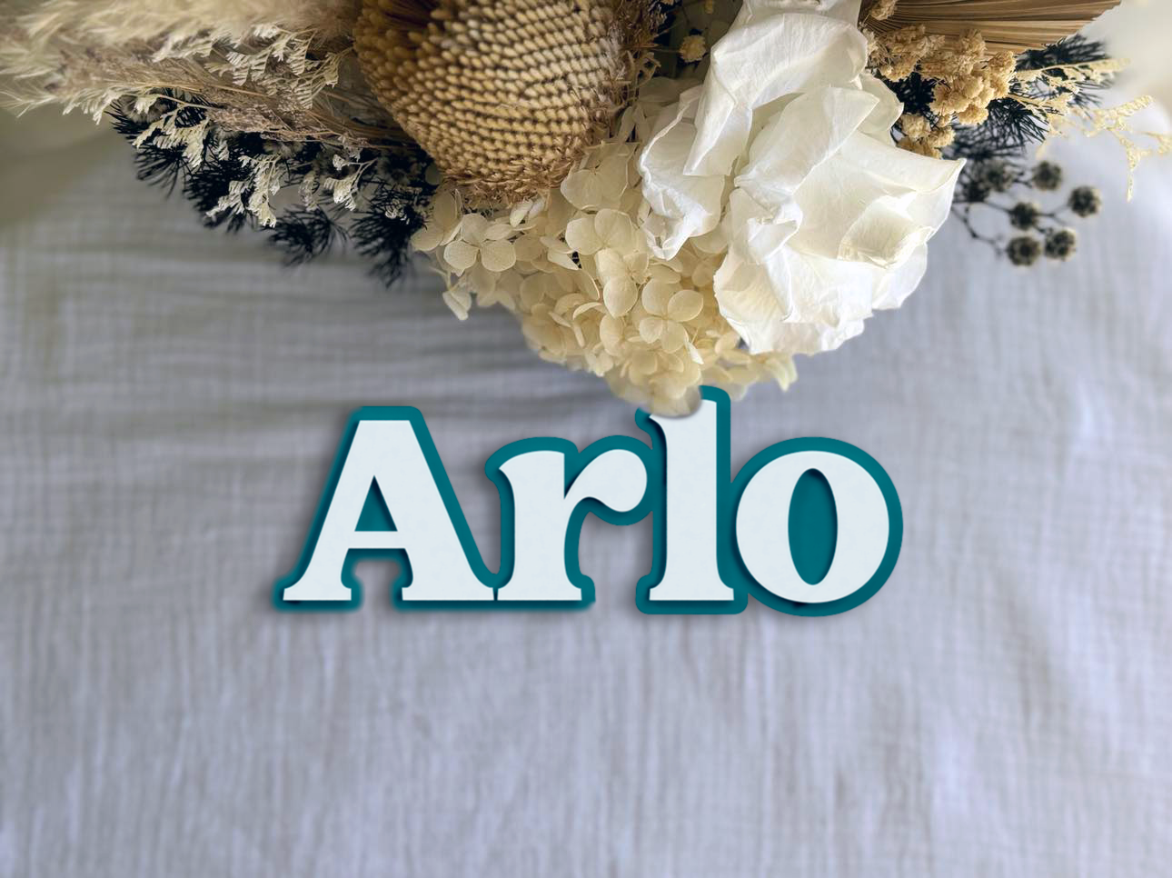 Double Layered Single Name Plaque