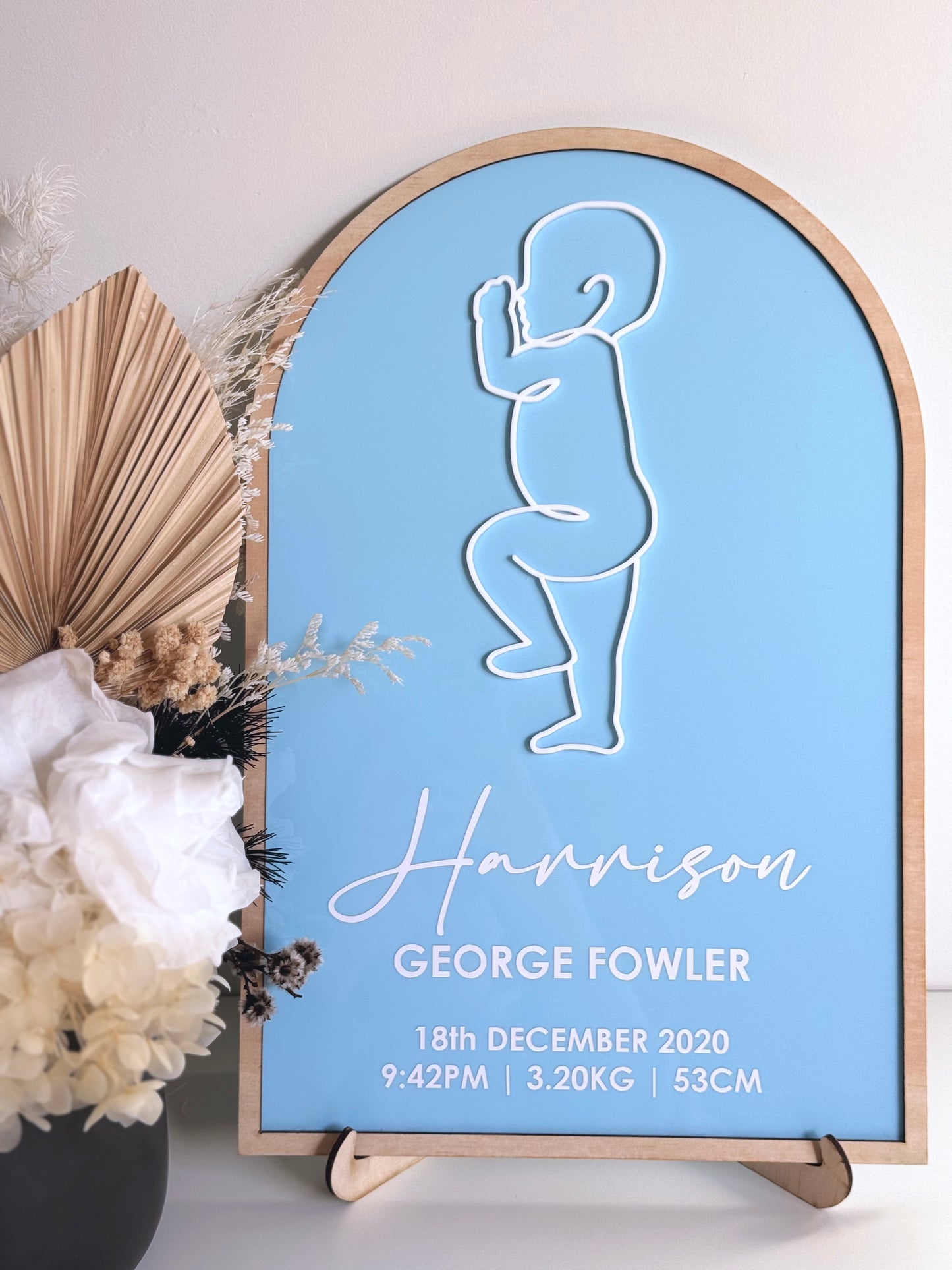 Baby Birth Stat Arch
