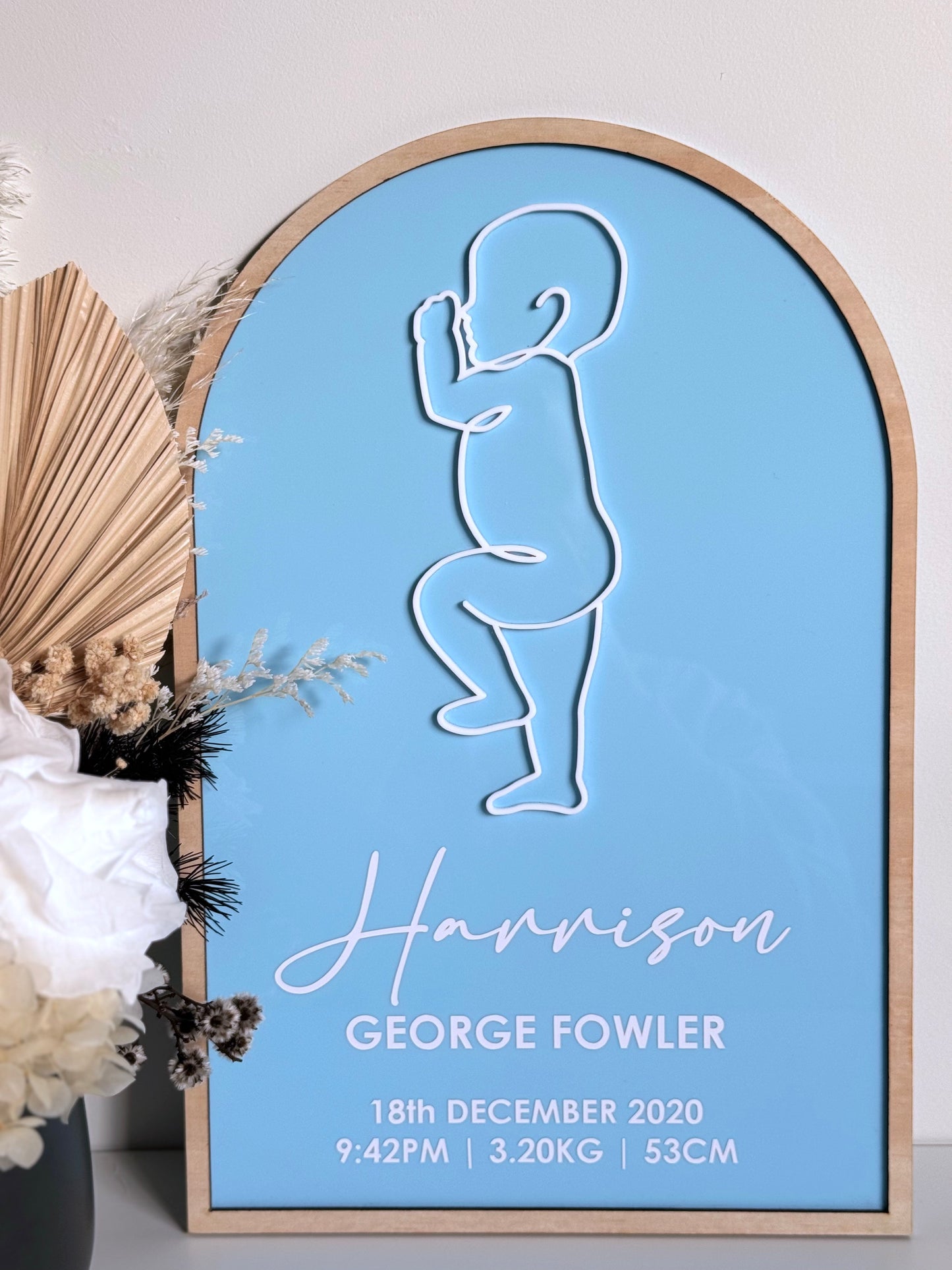 Baby Birth Stat Arch
