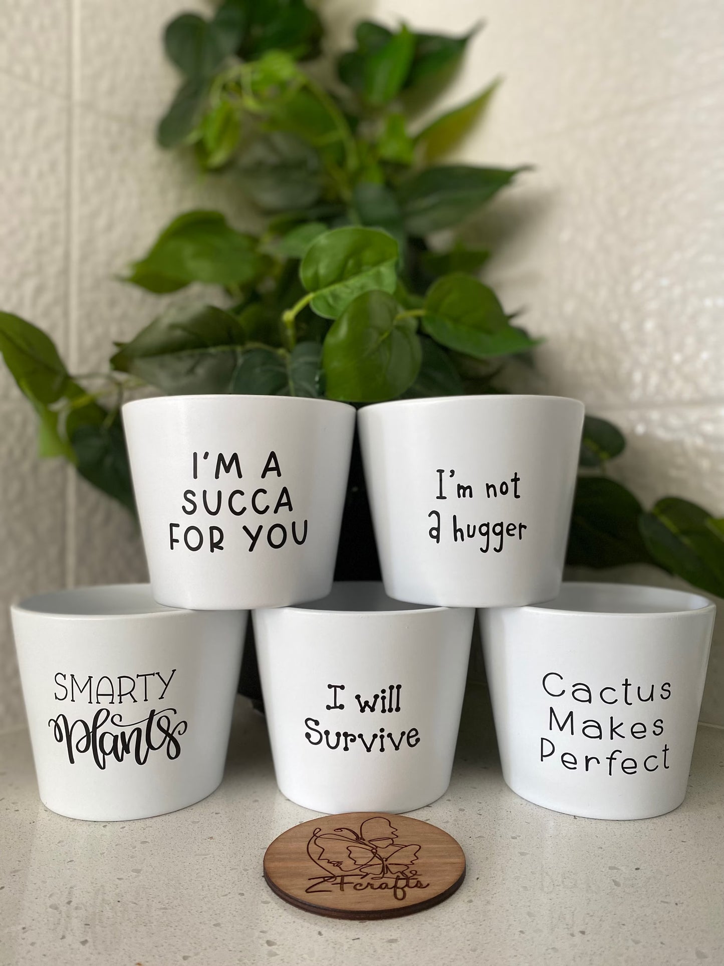 Ceramic Glazed Plant Pots