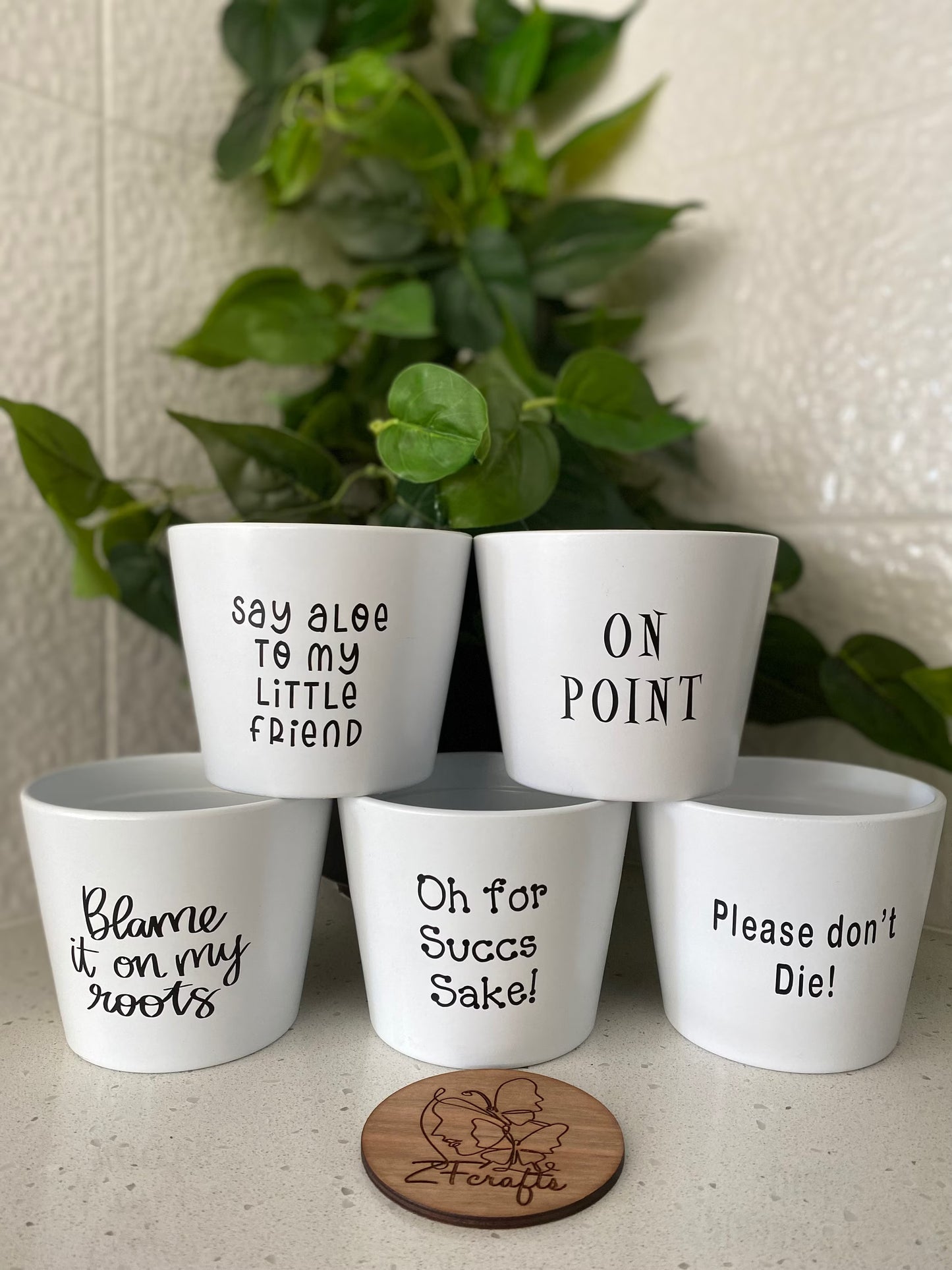 Ceramic Glazed Plant Pots