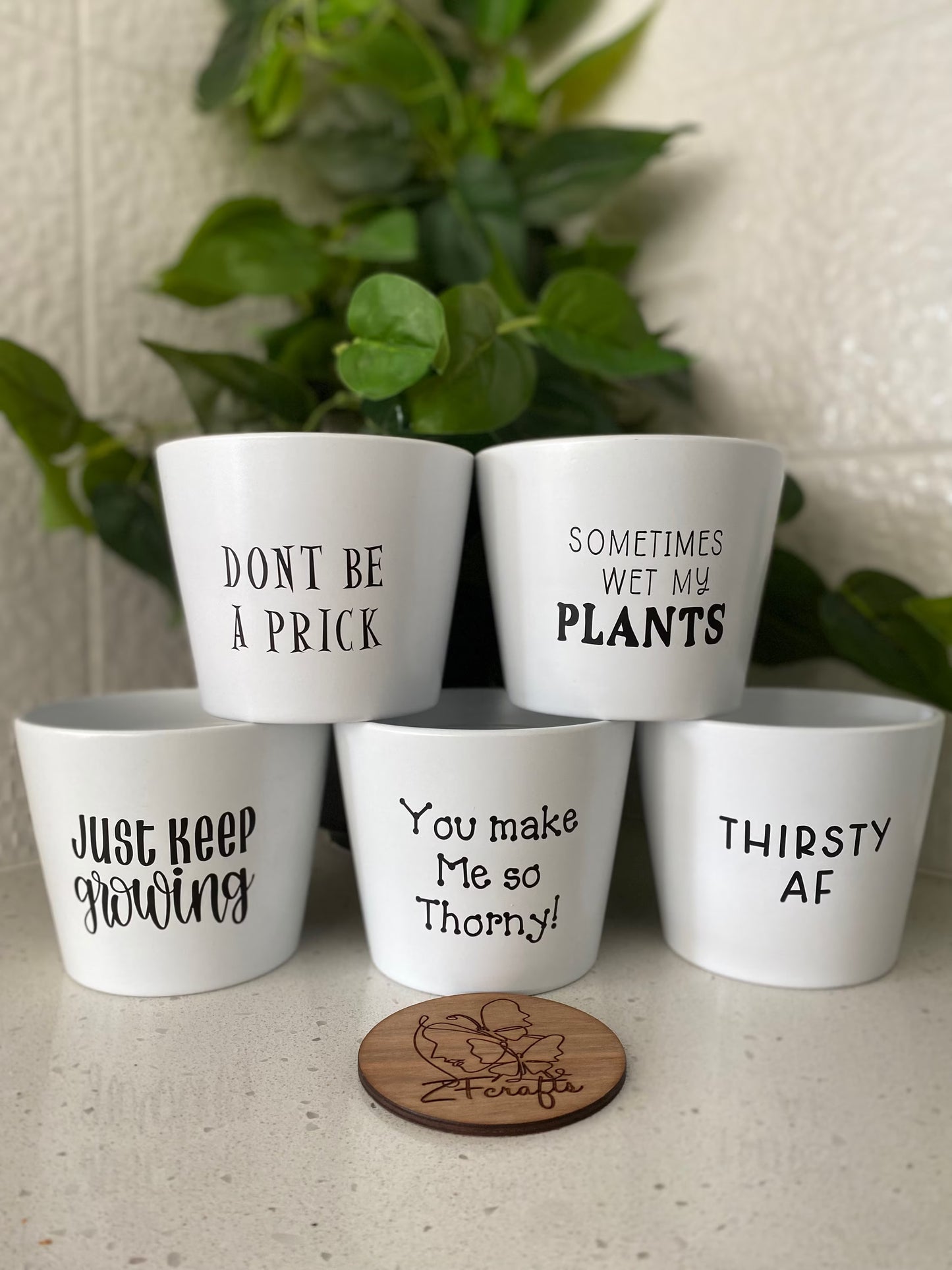 Ceramic Glazed Plant Pots