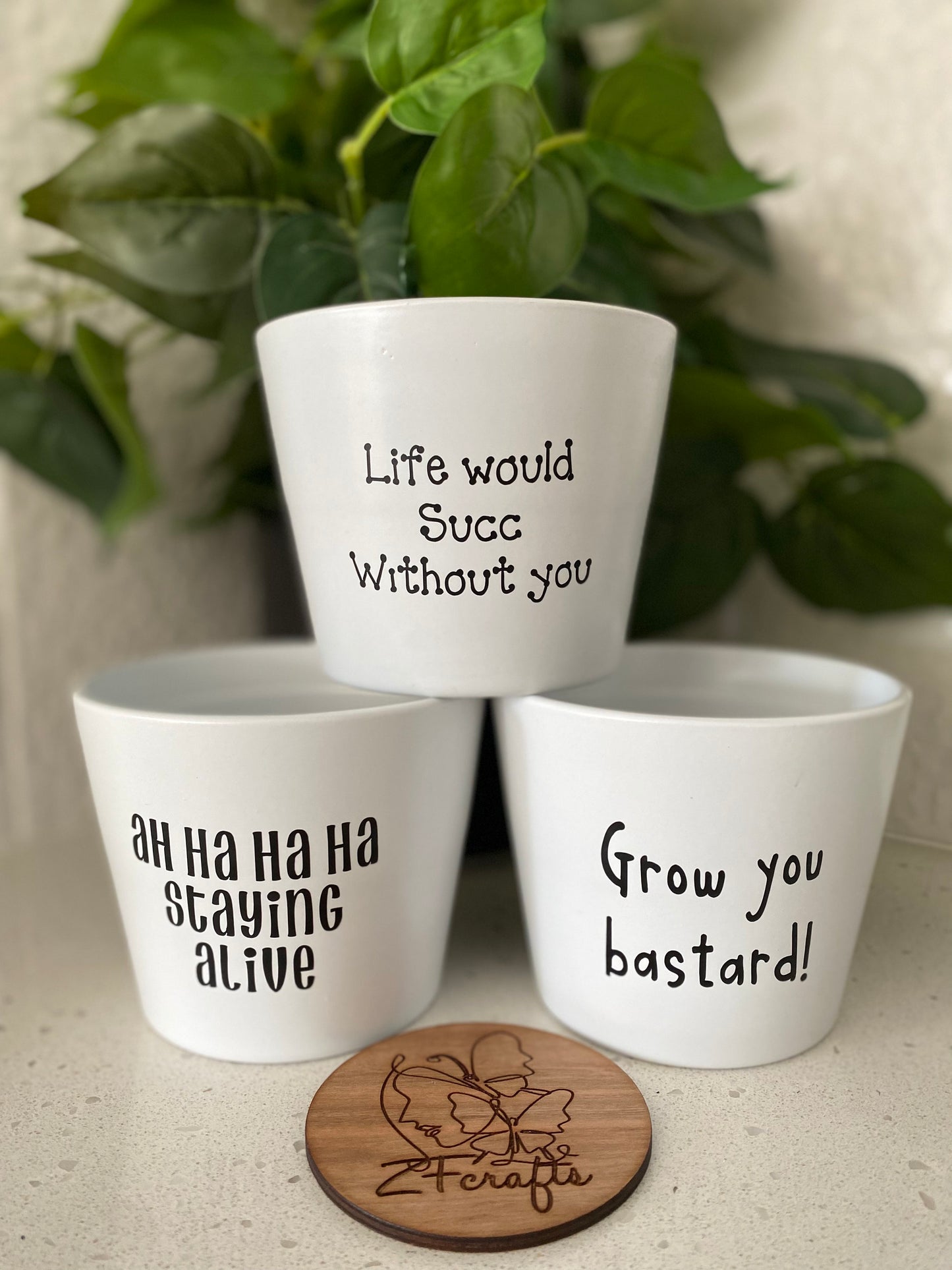 Ceramic Glazed Plant Pots