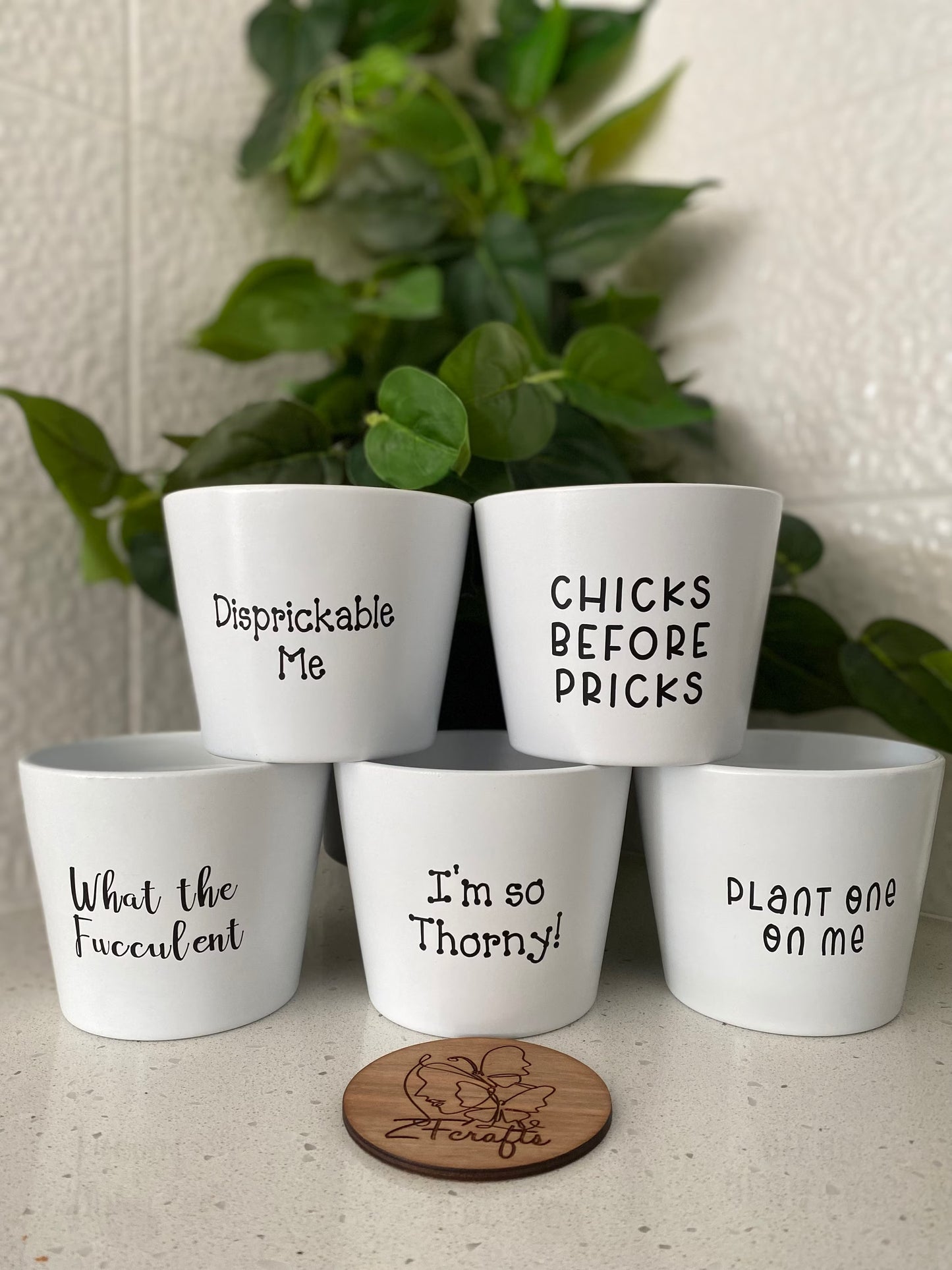 Ceramic Glazed Plant Pots