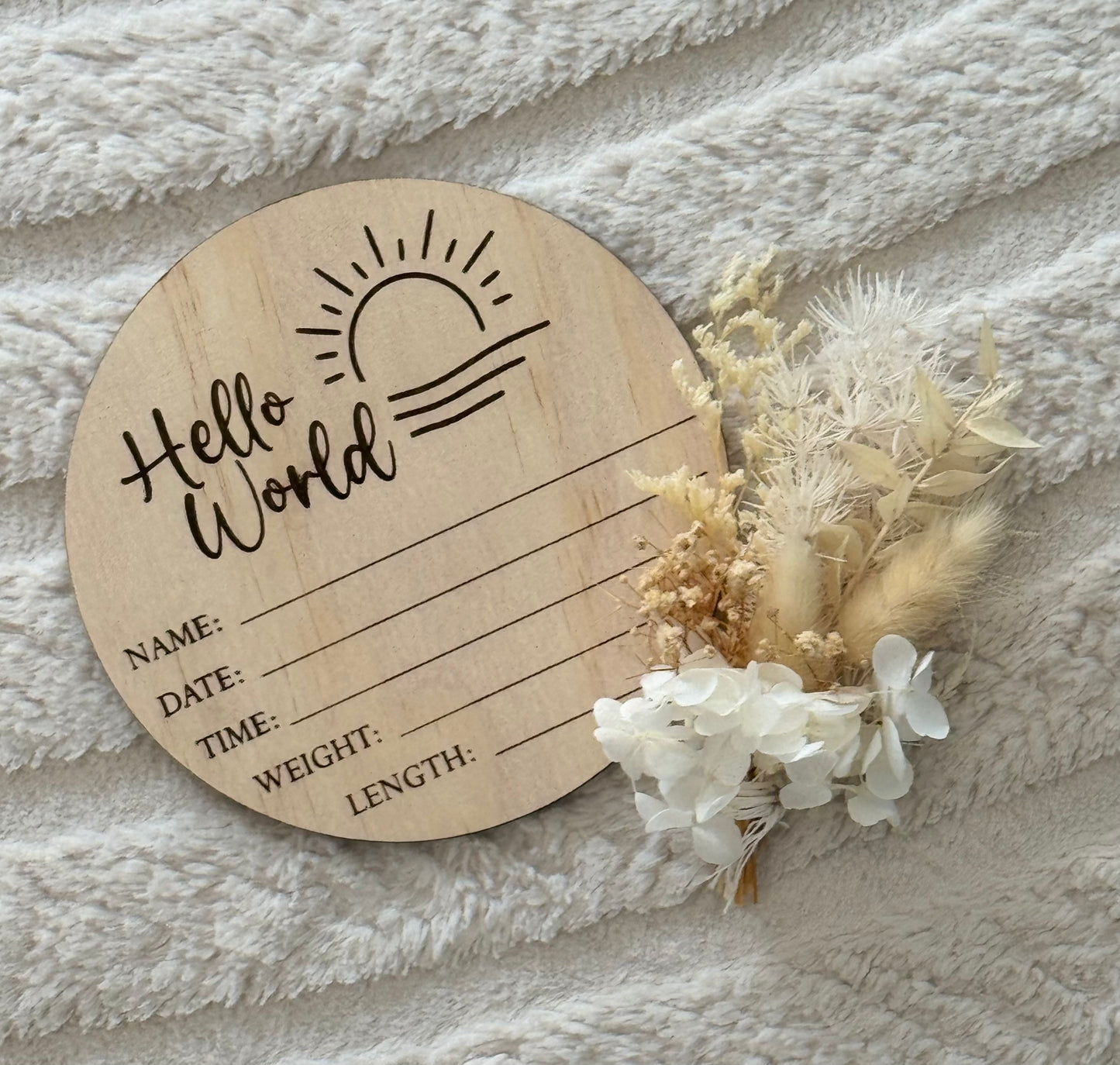 Hello World- Sun Birth Announcement Plaque