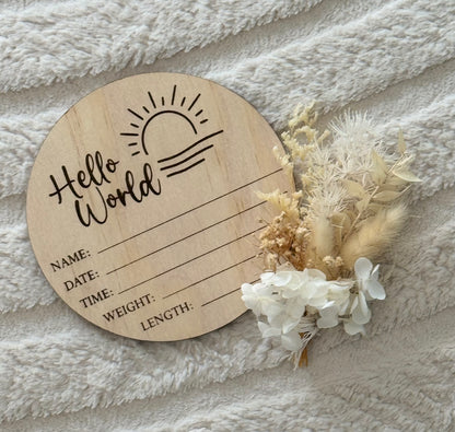 Hello World- Sun Birth Announcement Plaque